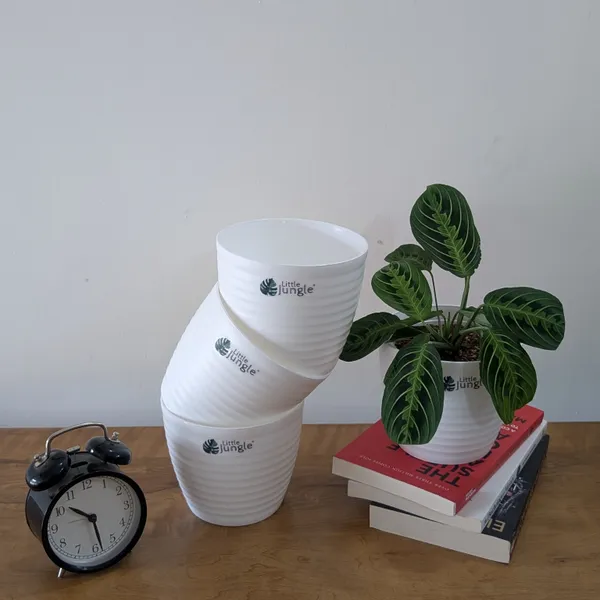 Decor_Pot_(Pack_Of_4),