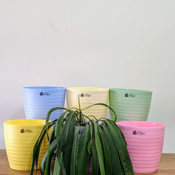 Decor_8_(8_Inches,_Pack_Of_6),_6_Color_Pots_(Plants_Not_Included)