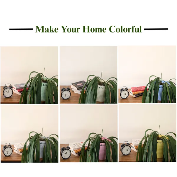 Decor_8_(8_Inches,_Pack_Of_6),_6_Color_Pots_(Plants_Not_Included)