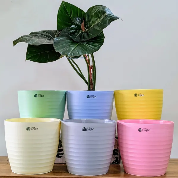 Decor_10_(10_Inches,_Pack_Of_6),Pots_only_,_6_Color_Pots_(Plants_Not_Included)