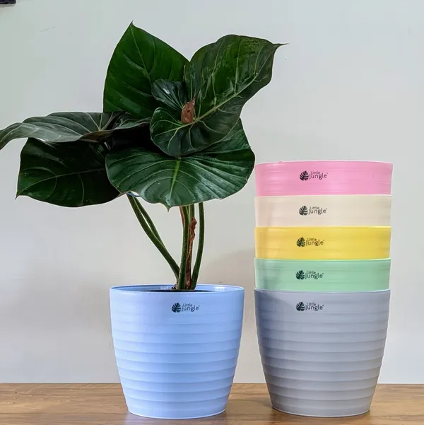 Decor_10_(10_Inches,_Pack_Of_6),Pots_only_,_6_Color_Pots_(Plants_Not_Included)