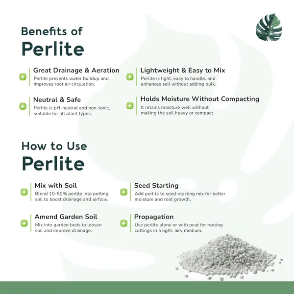 Perlite_For_Plants,_Soil_Additive,_1_Kg