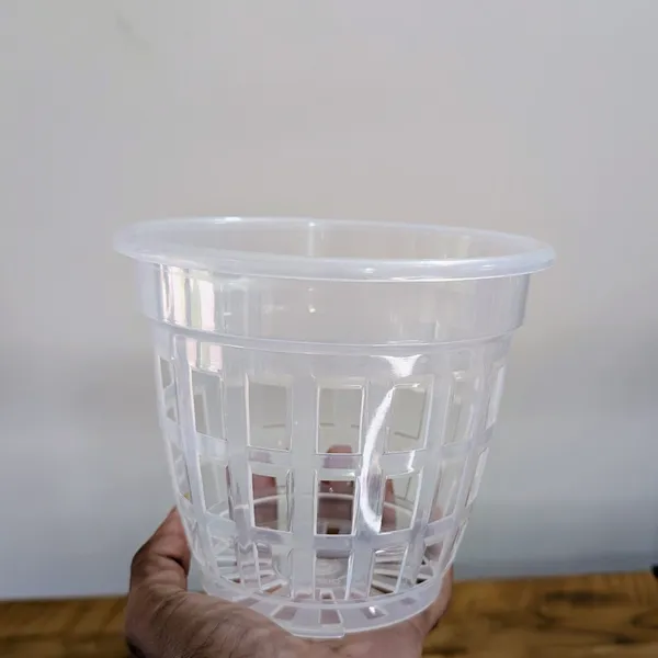Clear_Transparent_Orchid_Nursery_Pot_7_Inch_(Pack_of_10)