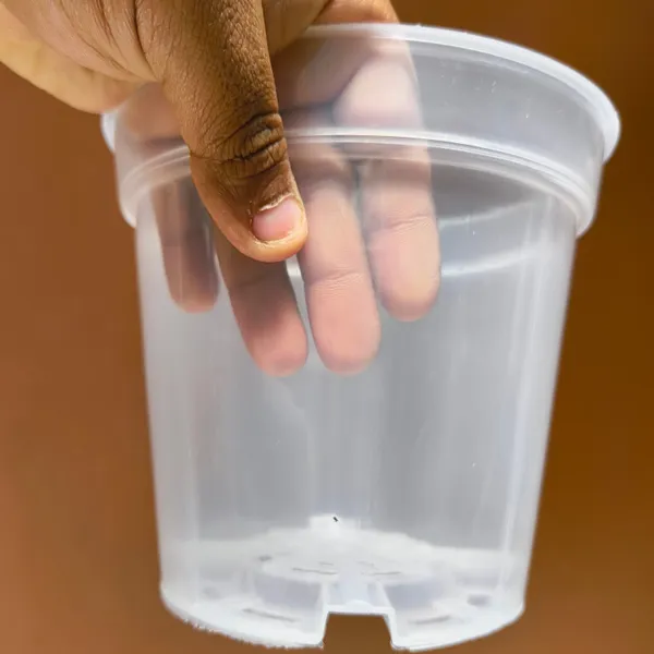 4.5_inches_Clear_Transparent_Nursery_Pots_For_Growing_,Repotting_,_Water_And_Root_Monitoring