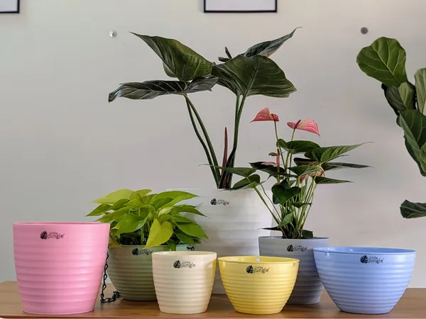Decor__10_Planters_(Pack_of_4)_With_out_holes