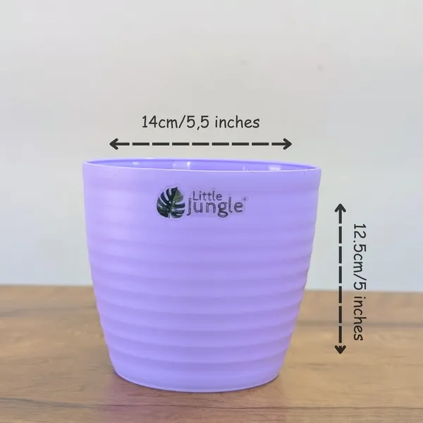 Decor_Planters_(Pack_of_4)_With_out_holes