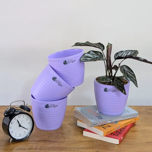 Decor_Planters_(Pack_of_4)_With_out_holes