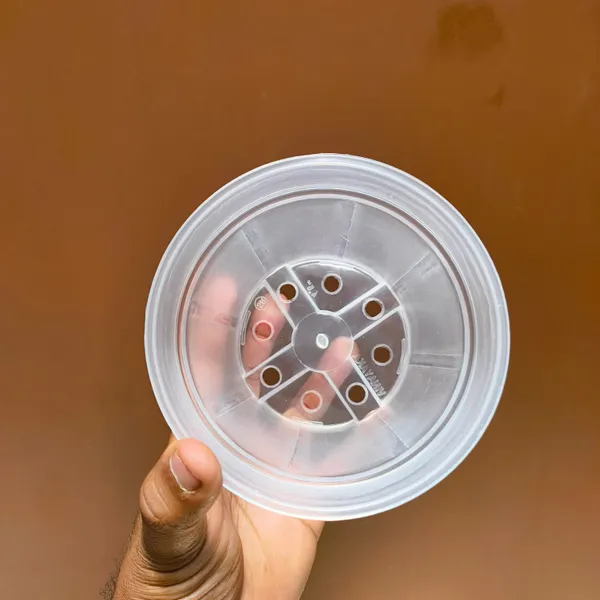 4.5_Inches_Transperant_Pots_(_Pack_Of_10)_For_Root_&_Water_Monitoring