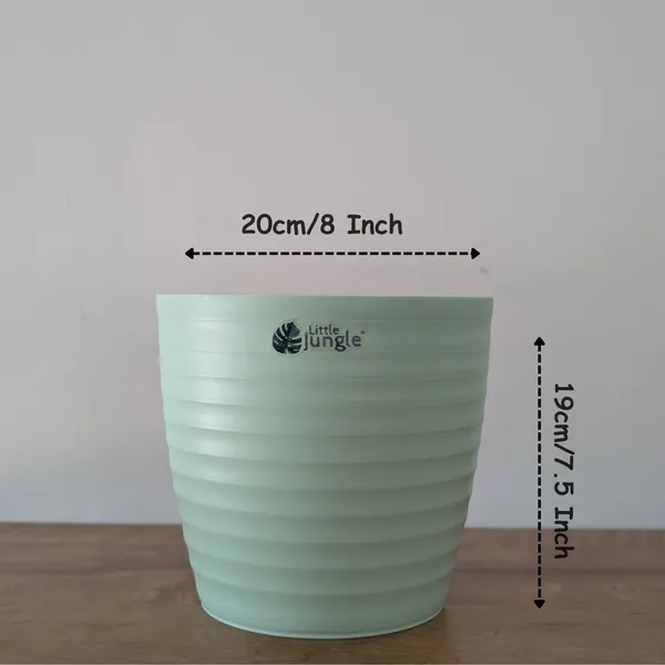 Decor_Green_Pot_(Pack_Of_4),