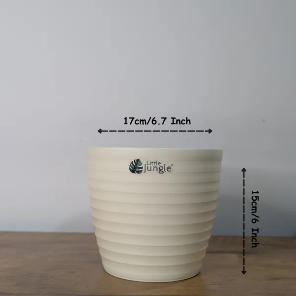 Decor_Beige_Pot(Pack_Of_4)