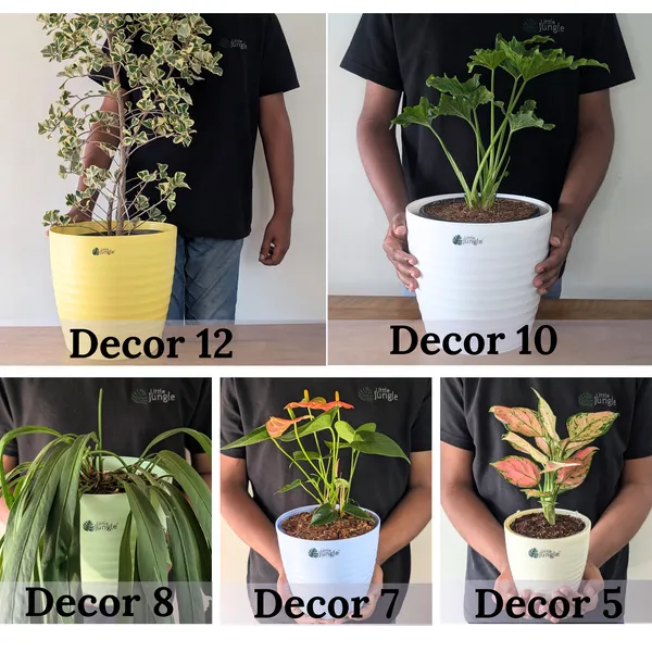 Decor_Beige_Pot(Pack_Of_4)