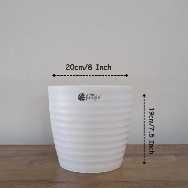 Decor_White_Pot(Pack_Of_4),