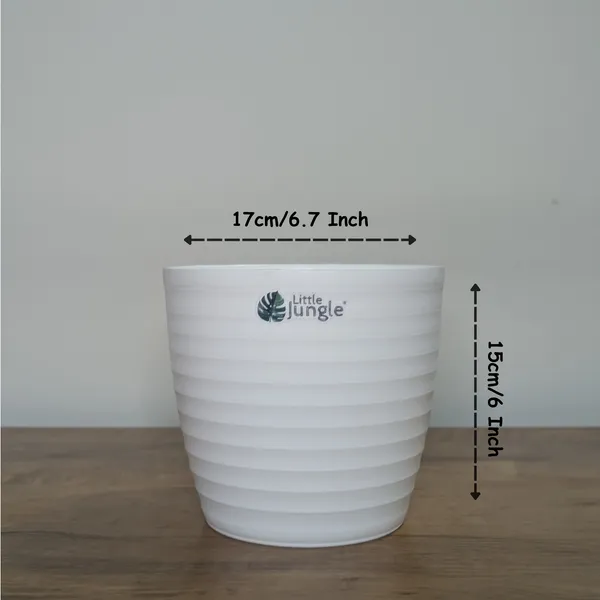 Decor_White_Pot(Pack_Of_4),