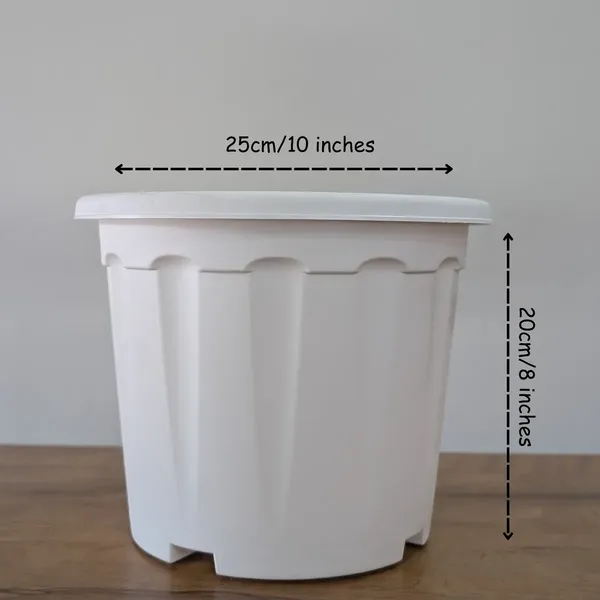 Pro_Nursery_Pot_UV_Resistant__White_Color_(10_Inches)