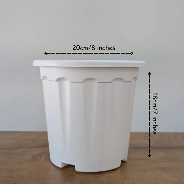 Pro_Nursery_Pot_UV_Resistant__White_Color_(8_inches)