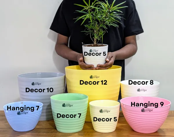 Decor_Bule_Pot(Pack_Of_4),