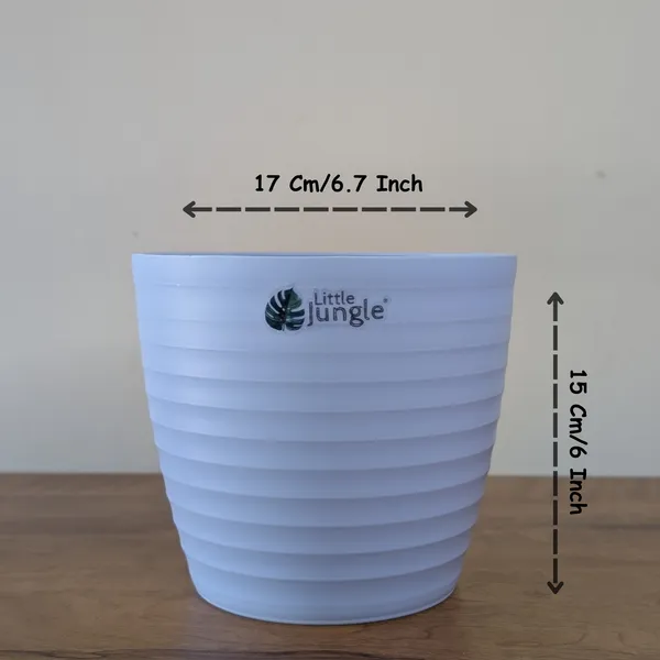 Decor_Bule_Pot(Pack_Of_4),