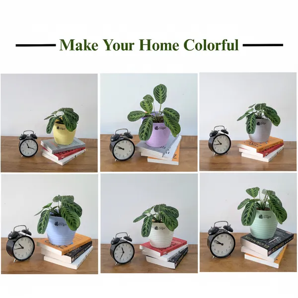 Decor_pot,_6_Color_Pots,_(white,Blue_,Yellow,Purple,Biege,Green)