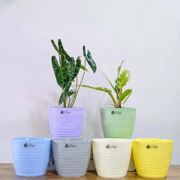 Decor_7_(7_Inches,_Pack_Of_6),_6_Color_Pots_(Plant_not_included)