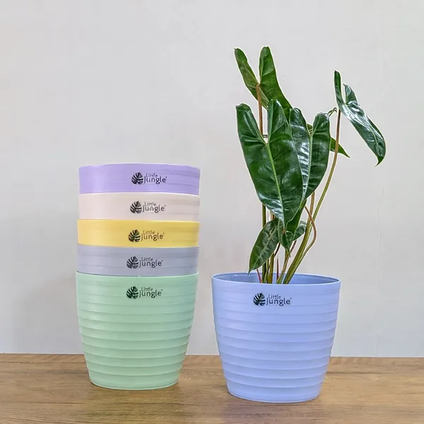 Decor_7_(7_Inches,_Pack_Of_6),_6_Color_Pots_(Plant_not_included)