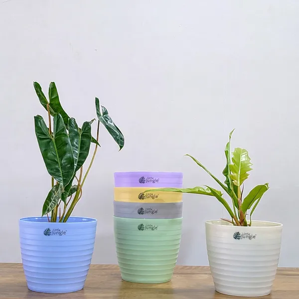 Decor_7_(7_Inches,_Pack_Of_6),_6_Color_Pots_(Plant_not_included)