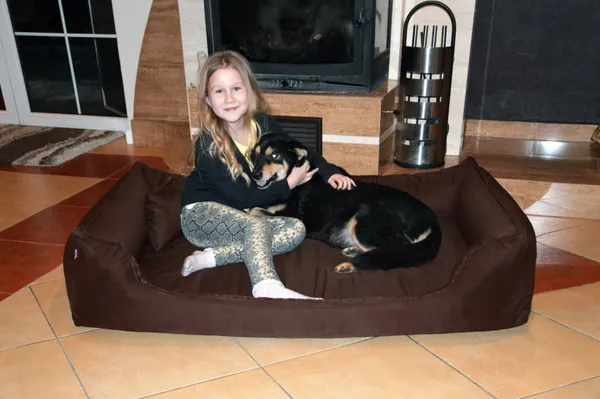 Royals_Rore_Dog_Bed_Washable_Reversible_for_Small_|_Medium_|_Large_|_Extra_Large_|_XXL_|_3XL_|_4XL_Size_Dogs_|_Cats_|_Puppy_|_pet_|_Rabbit_|_(4XL)