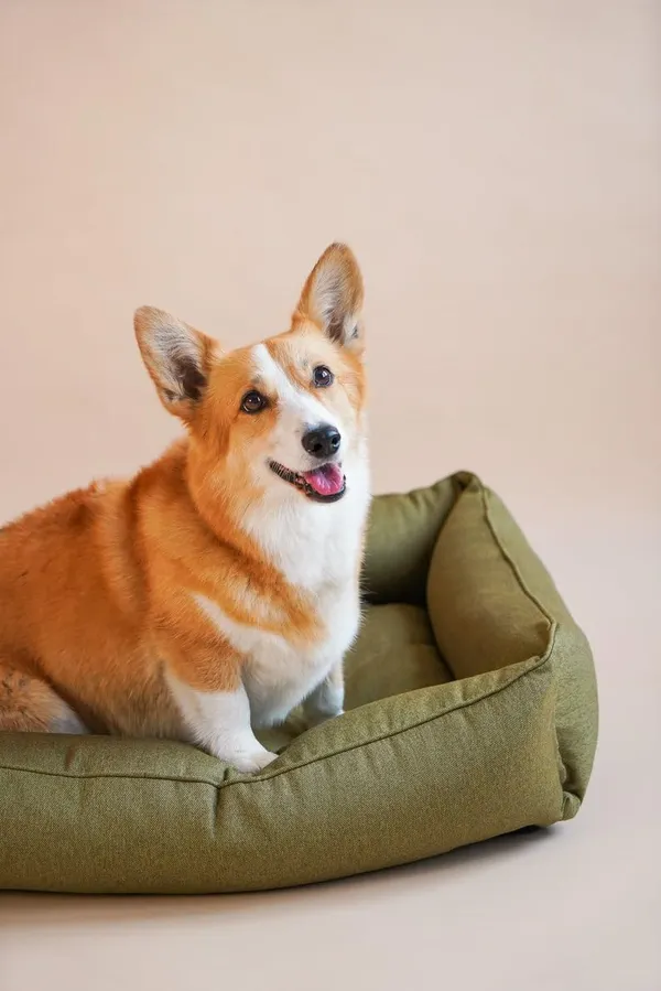 Royals_Rore_Dog_Bed_Soft_Machine_Washable_Reversible_Dog_Bed_for_Small_|_Medium_|_Large_|_Extra_Large_|_XL_|_L_|_XXL_|_XXXL_|_Cats_|_Puppy_|_Pet_|_Dog_Beds_(Green)_(XXL)