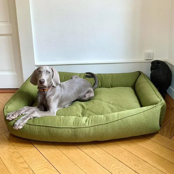 Royals_Rore_Dog_Bed_Soft_Machine_Washable_Reversible_Dog_Bed_for_Small_|_Medium_|_Large_|_Extra_Large_|_XL_|_L_|_XXL_|_XXXL_|_Cats_|_Puppy_|_Pet_|_Dog_Beds_(Green)_(XXL)