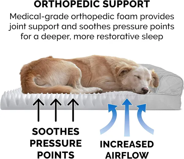 Royals_Rore_Dog_Beds_Orthopadic_XXL_Bed_Waterproof_Layer_for_Labrador,_Bulldog,_Retriever,_Poodle,_Large_Breed_dogbed_47X29X4_Sliver