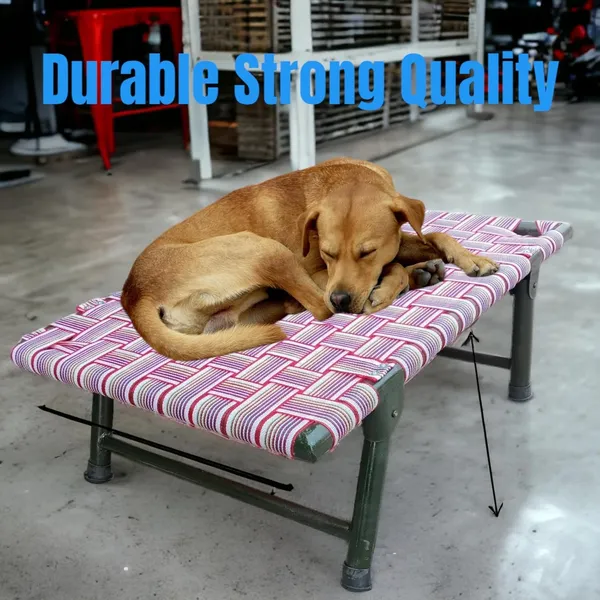 Royals_Rore_Leg_Fold_Pet_Dog_Bed_Strong_Quality_Iron_Frame_with_Strips_Outdoor_Indoor_Use_Size_36x24x8_inch,_Multi-colored