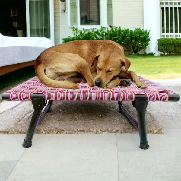 Royals_Rore_Leg_Fold_Pet_Dog_Bed_Strong_Quality_Iron_Frame_with_Strips_Outdoor_Indoor_Use_Size_36x24x8_inch,_Multi-colored