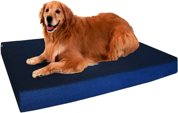 Royals_Rore_Dog_Beds_Orthopadic_XXL_Bed_Waterproof_Layer_for_Labrador,_Bulldog,_Retriever,_Poodle,_Large_Breed_dogbed_47X29X4_Bed_(Blue)