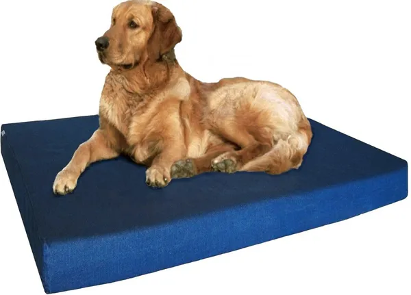 Royals_Rore_Dog_Beds_Orthopadic_XXL_Bed_Waterproof_Layer_for_Labrador,_Bulldog,_Retriever,_Poodle,_Large_Breed_dogbed_47X29X4_Bed_(Blue)