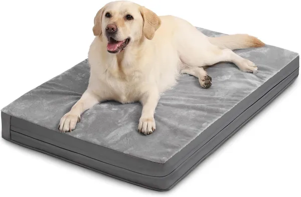 Royals_Rore_Dog_Bed_Orthopedic_XXL_Bed_Waterproof_Layer_for_Large_Breed_Dogs_47X29X4_cm_(Grey)