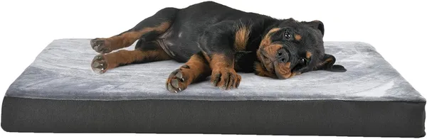 Royals_Rore_Dog_Bed_Orthopedic_XXL_Waterproof_Layer_for_Labrador,_Bulldog,_Retriever,_Poodle,_Large_Breed_47X29X4