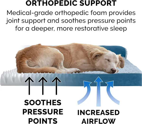 Royals_Rore_Dog_Beds_Orthopadic_XXL_Bed_Waterproof_Layer_for_Labrador,_Bulldog,_Retriever,_Poodle,_Large_Breed_dogbed_47X29X4_Bed_(Bluee)