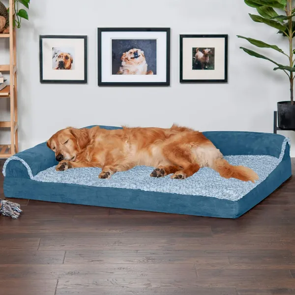 Royals_Rore_Dog_Beds_Orthopadic_XXL_Bed_Waterproof_Layer_for_Labrador,_Bulldog,_Retriever,_Poodle,_Large_Breed_dogbed_47X29X4_Bed_(Bluee)