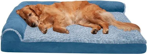 Royals_Rore_Dog_Beds_Orthopadic_XXL_Bed_Waterproof_Layer_for_Labrador,_Bulldog,_Retriever,_Poodle,_Large_Breed_dogbed_47X29X4_Bed_(Bluee)