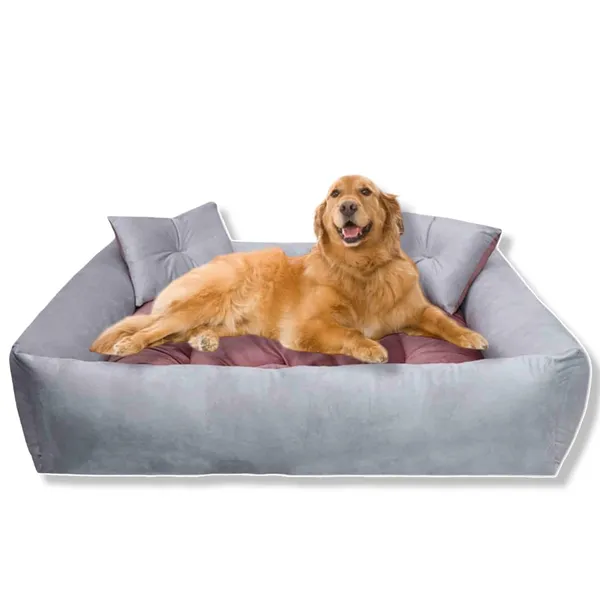 Royals_Rore_Washable_Dog/cat_Bed_with_Pillow_for_Small_|_Medium_|_Large_|Extra_Large_|_XXL_|_XXXL_|_4XL_Size_Dogs_|_Cats_|_Puppy_|_pet_|_Rabbit_|_Persian_cat_|_(Silver)_(XXL)