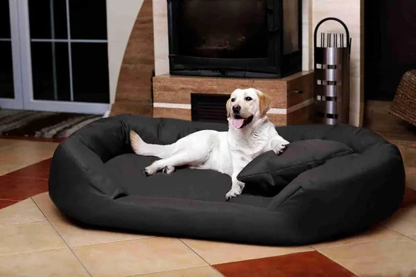 Royals_Rore_Black_Washable_Dog/cat_Bed_with_Pillow_for_Small_|_Medium_|_Large_|Extra_Large_|_XXL_|_XXXL_|_4XL_Size_Dogs_|_Cats_|_Puppy_|_pet_|_Rabbit_|_Persian_cat_|_(L)