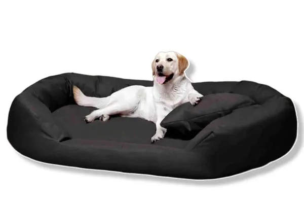 Royals_Rore_Black_Washable_Dog/cat_Bed_with_Pillow_for_Small_|_Medium_|_Large_|Extra_Large_|_XXL_|_XXXL_|_4XL_Size_Dogs_|_Cats_|_Puppy_|_pet_|_Rabbit_|_Persian_cat_|_(L)