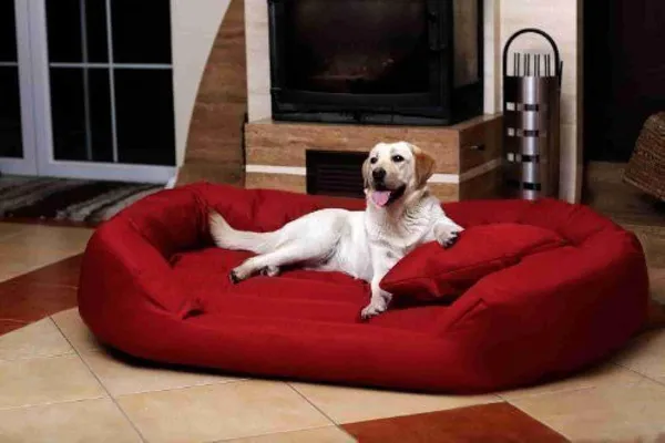 Royals_Rore_Red_Washable_Dog/cat_Bed_with_Pillow_for_Small_|_Medium_|_Large_|Extra_Large_|_XXL_|_XXXL_|_4XL_Size_Dogs_|_Cats_|_Puppy_|_pet_|_Rabbit_|_Persian_cat_|_(L)