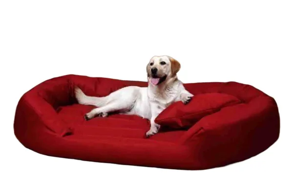 Royals_Rore_Red_Washable_Dog/cat_Bed_with_Pillow_for_Small_|_Medium_|_Large_|Extra_Large_|_XXL_|_XXXL_|_4XL_Size_Dogs_|_Cats_|_Puppy_|_pet_|_Rabbit_|_Persian_cat_|_(L)