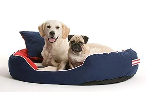 Royals_Rore_Washable_Dog/cat_Bed_with_Pillow_for_Small_|_Medium_|_Large_|Extra_Large_|_XXL_|_XXXL_|_4XL_Size_Dogs_|_Cats_|_Puppy_|_pet_|_Rabbit_|_Persian_cat_|_(BLUE)_(3XL)