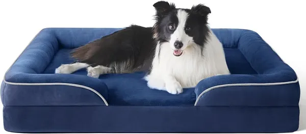 Royals_Rore_Dog_Beds_Memory_Foam_Orthopadic_XXL_Bed_Waterproof_Layer_for_Labrador,_Bulldog,_Retriever,_Poodle,_Large_Breed_Dogbed_47x29x4_(Royal_Blue,_47x29x4)