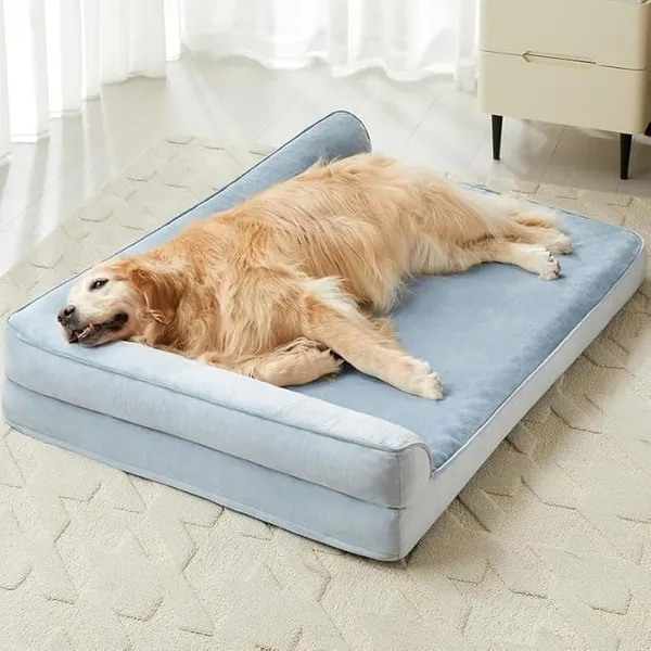 Royals_Rore_Dog_Beds_Memory_Foam_Orthopadic_XXL_Bed_Waterproof_Layer_for_Labrador,_Bulldog,_Retriever,_Poodle,_Large_Breed_Dogbed_47x29x4_(Sky_Blue,_47x29x4)