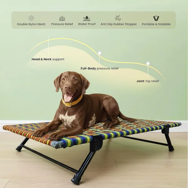 PETSAPIENS_Folding_Elevated_Extra_Large_Size_with_Towel_(42x30x8_Inches)_I_Nylon_Cooling_Summer_Bed_I_Elevated_Dog_Bed_I_Dog_mat_for_Sleeping_I_Antislip_and_Waterproof