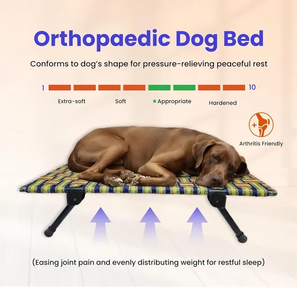 PETSAPIENS_Folding_Elevated_Extra_Large_Size_with_Towel_(42x30x8_Inches)_I_Nylon_Cooling_Summer_Bed_I_Elevated_Dog_Bed_I_Dog_mat_for_Sleeping_I_Antislip_and_Waterproof