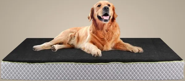 Black_Premium_Soft_Fabric_Bolster_For_Pet