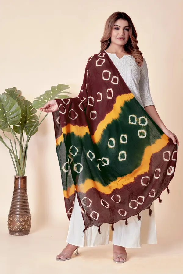 Maroon_&_Yellow_&_Green_Everyday_Comfort_Cotton_Dupatta_For_Women